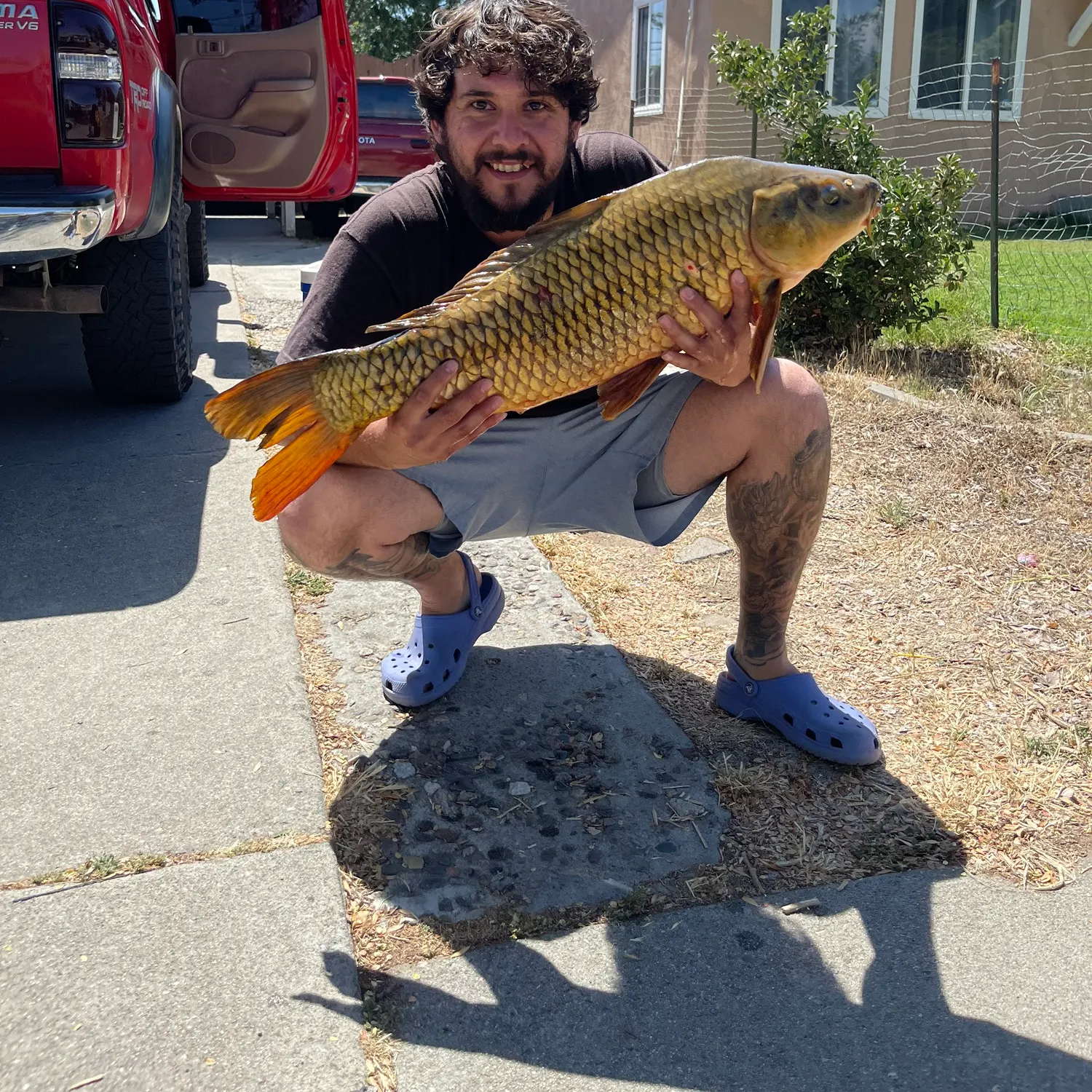 catch