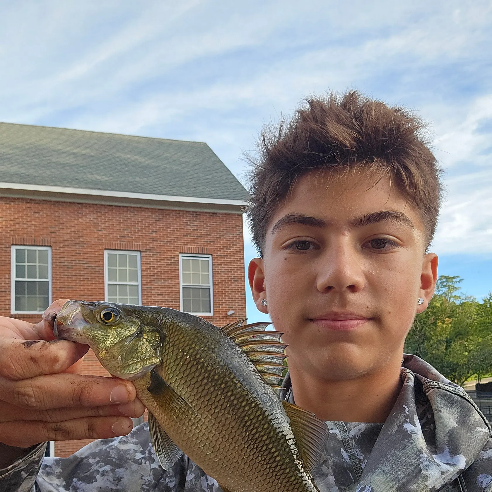 White perch caught on Fishbrain