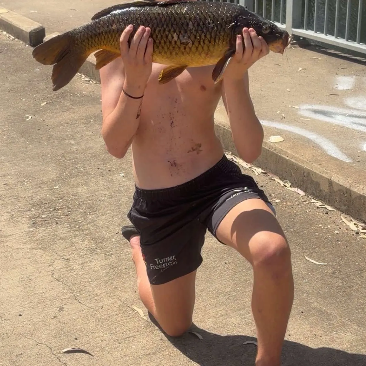Common carp caught on Fishbrain
