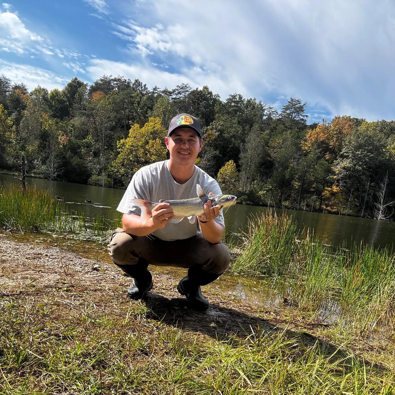 Channel catfish caught on Fishbrain