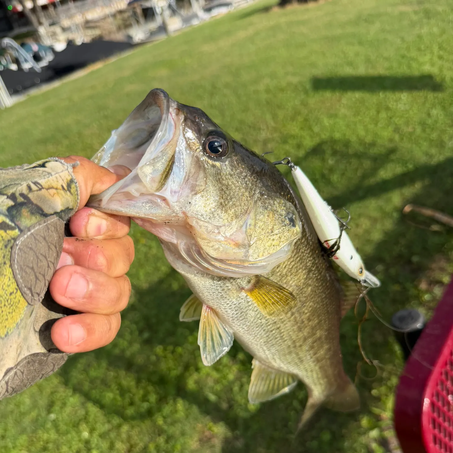 catch