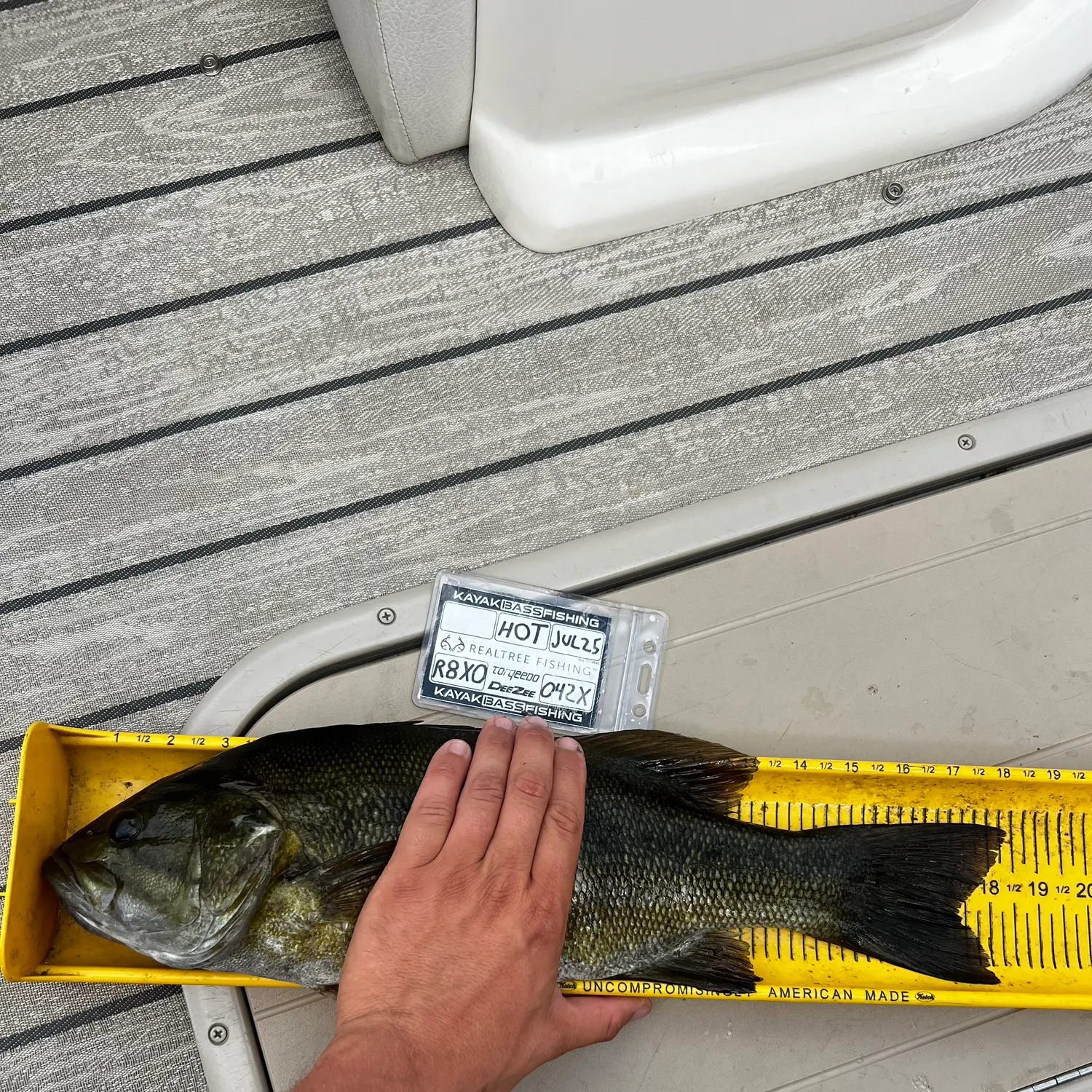 recently logged catches