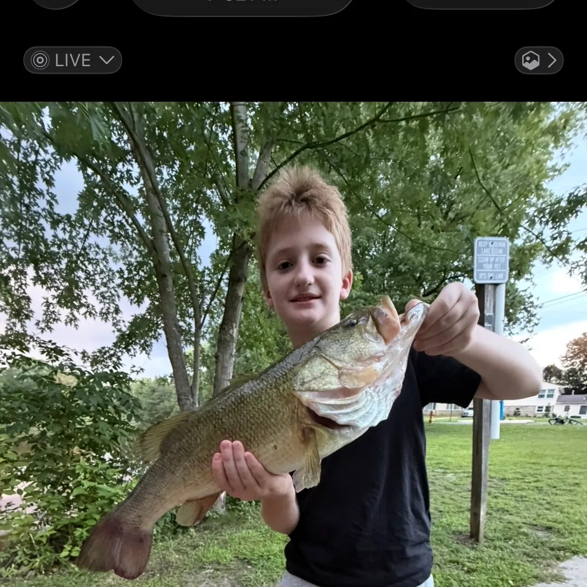 Largemouth bass caught on Fishbrain