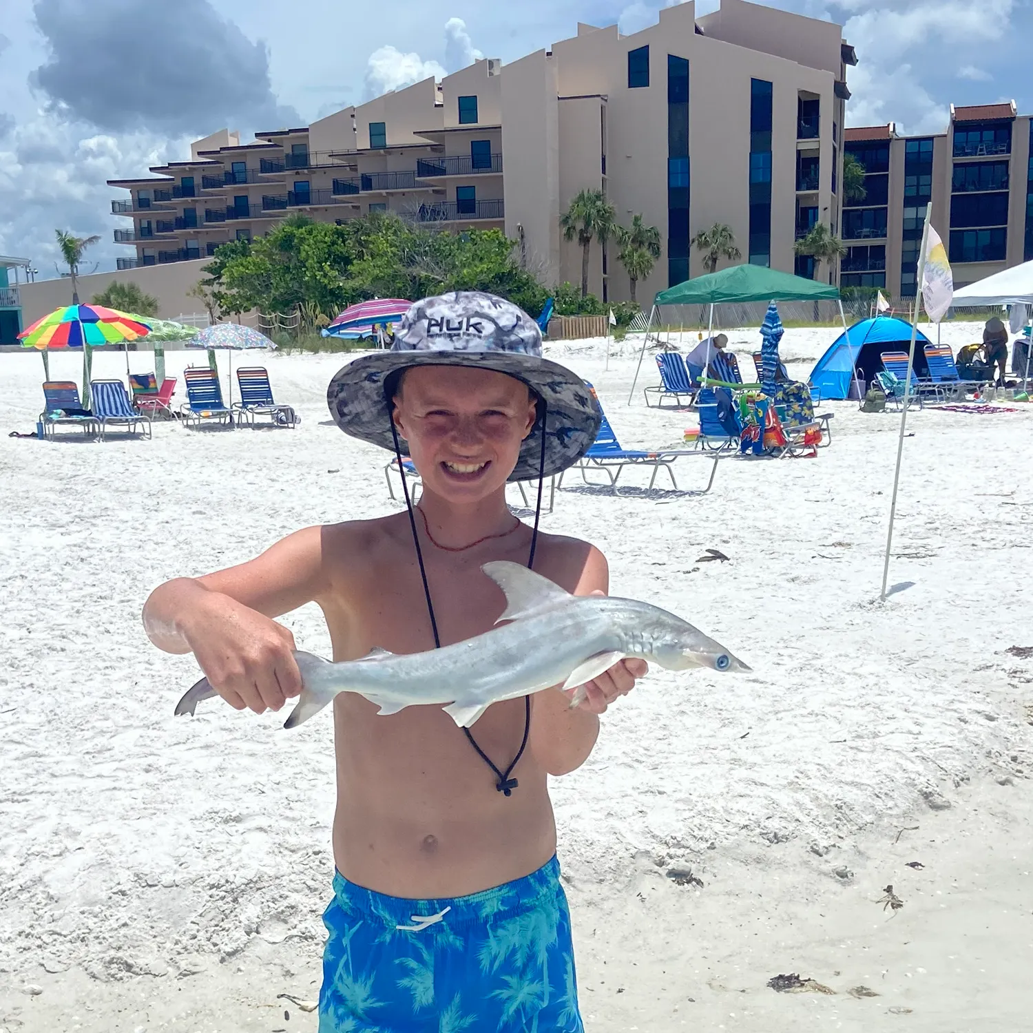 The most recent Smooth hammerhead shark catches on Fishbrain