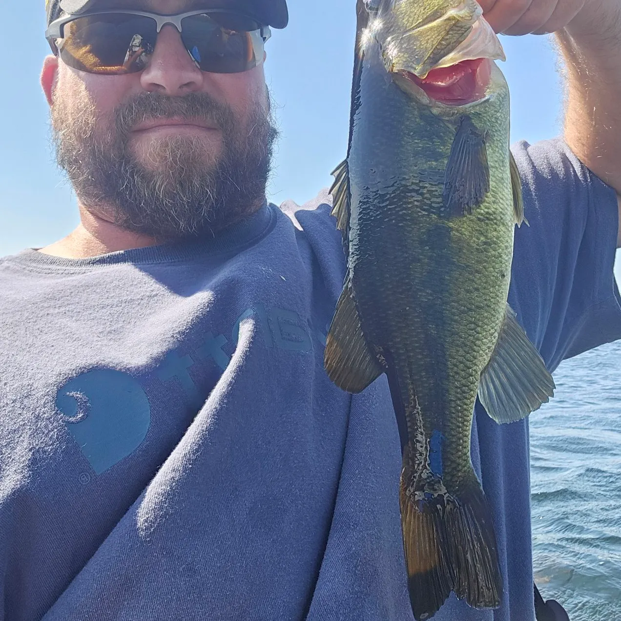 Largemouth bass caught on Fishbrain