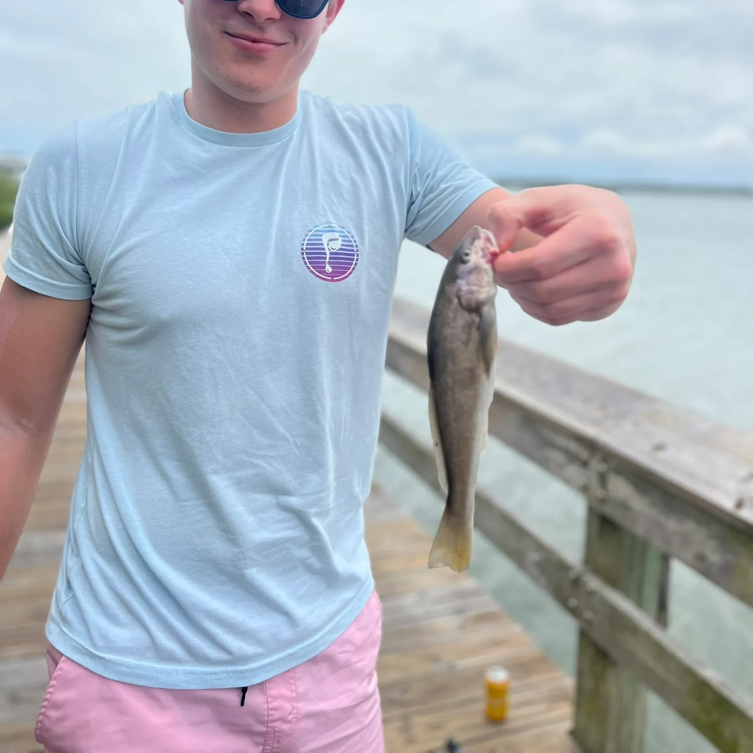 The most recent Southern kingcroaker catches on Fishbrain