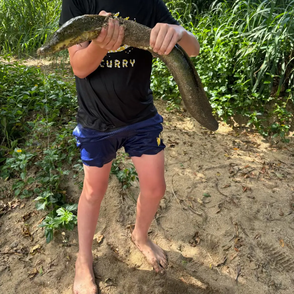 The most recent Speckled longfin eel catches on Fishbrain