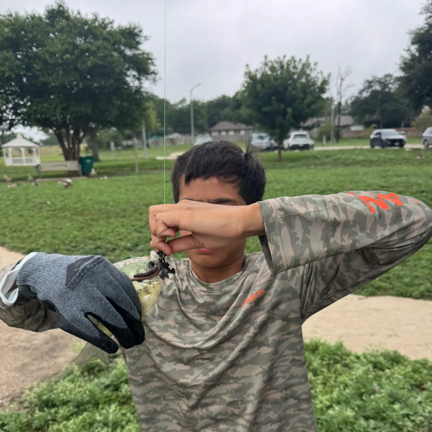catch