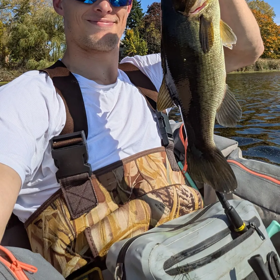 Largemouth bass caught on Fishbrain