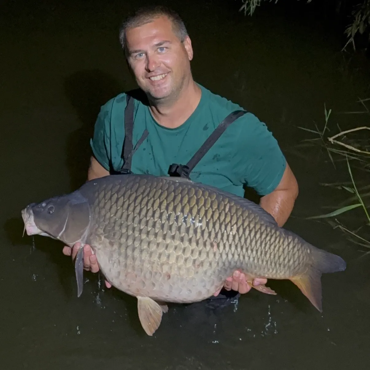 Common carp caught on Fishbrain