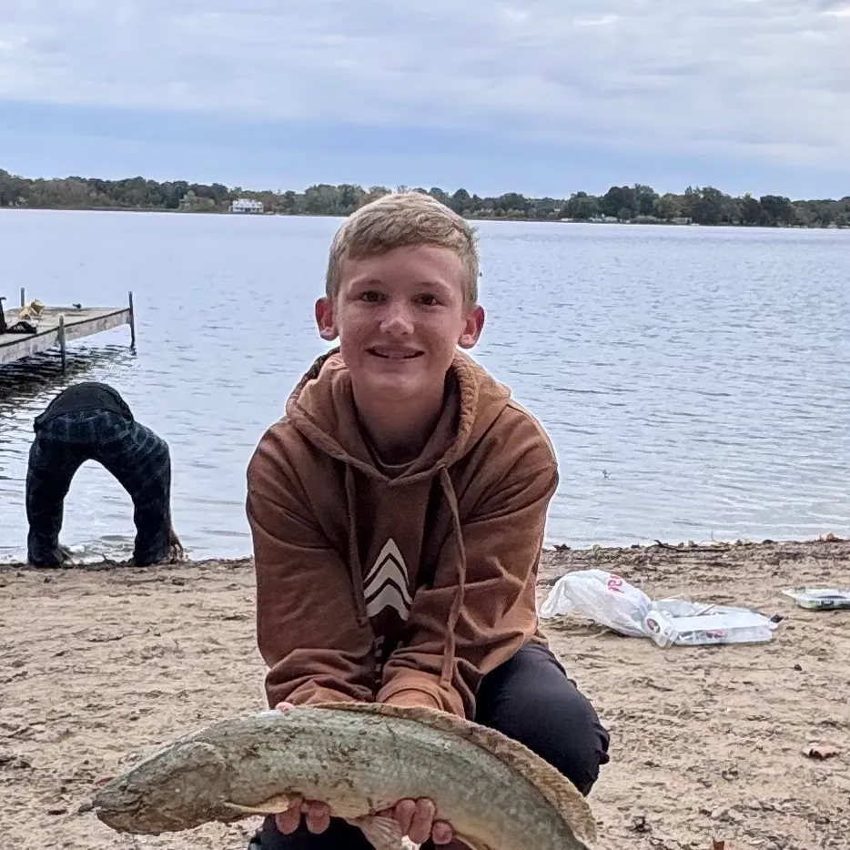 Eyetail bowfin caught on Fishbrain
