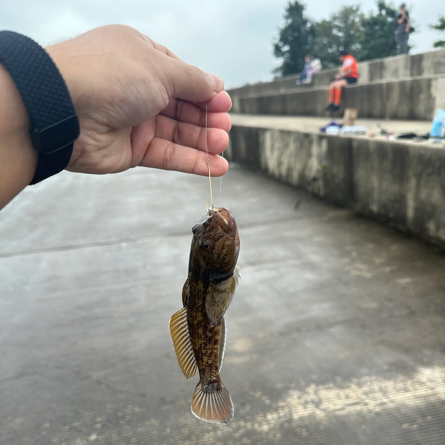 catch