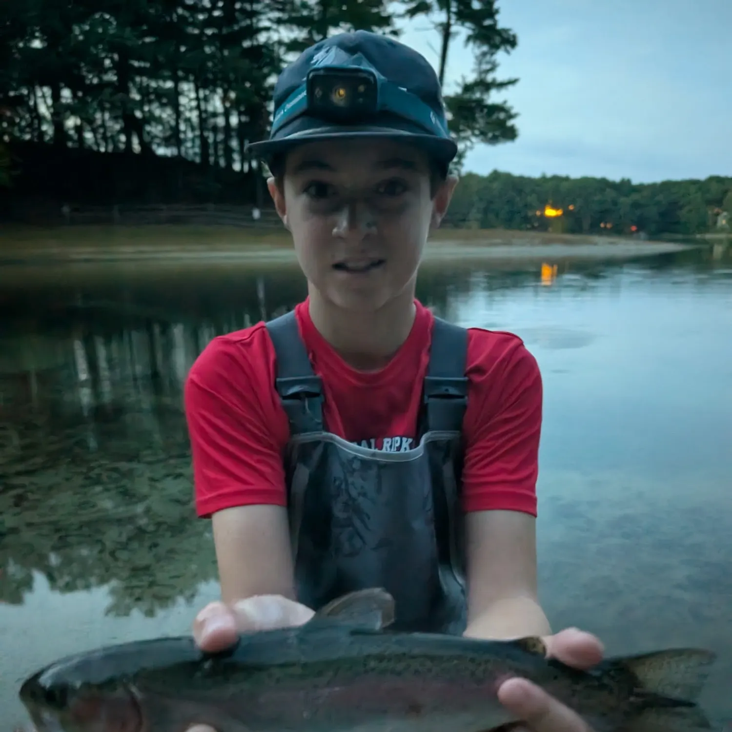 Rainbow trout caught on Fishbrain
