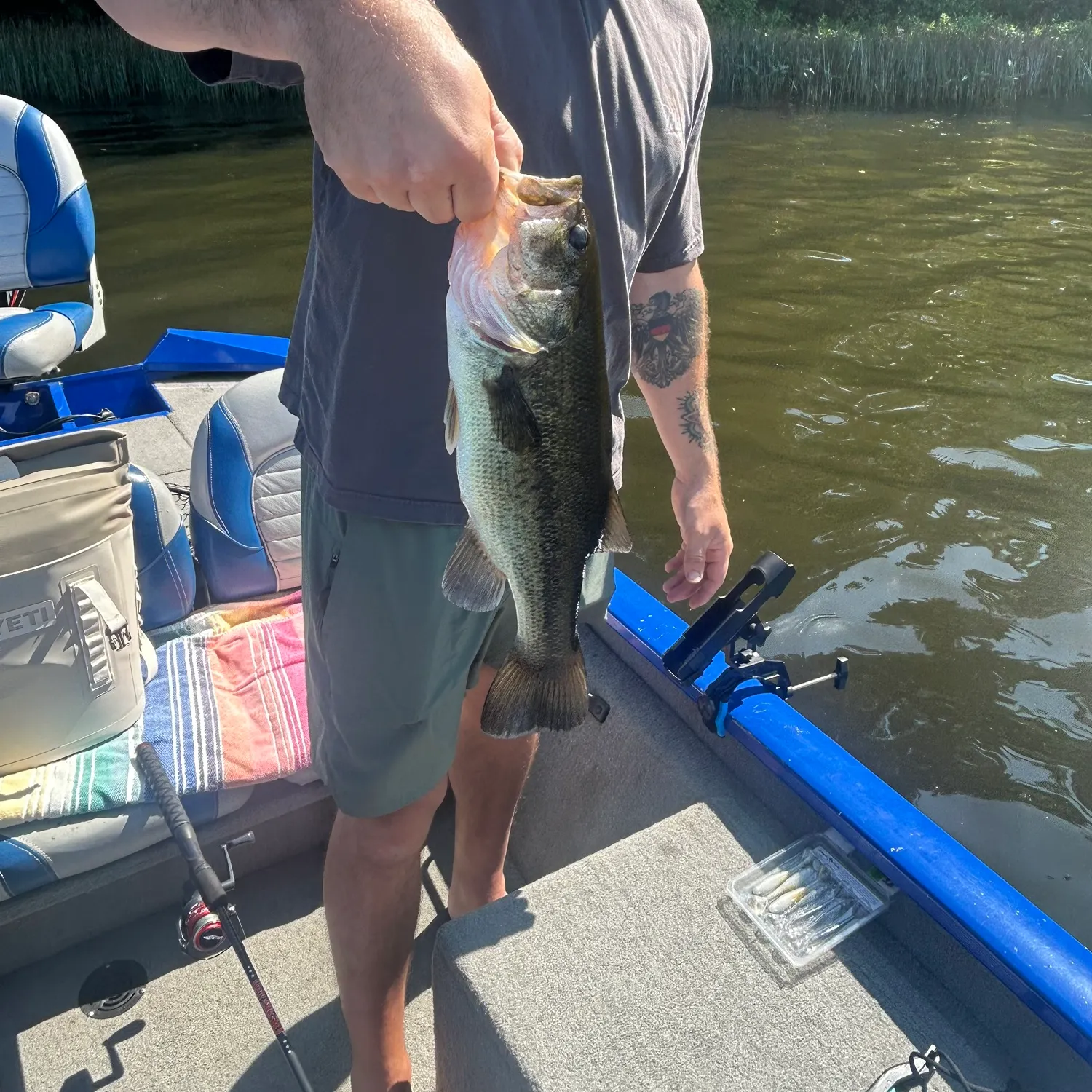 Largemouth bass caught on Fishbrain