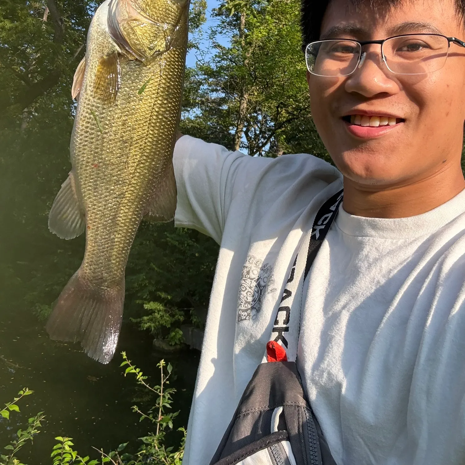 Largemouth bass caught on Fishbrain
