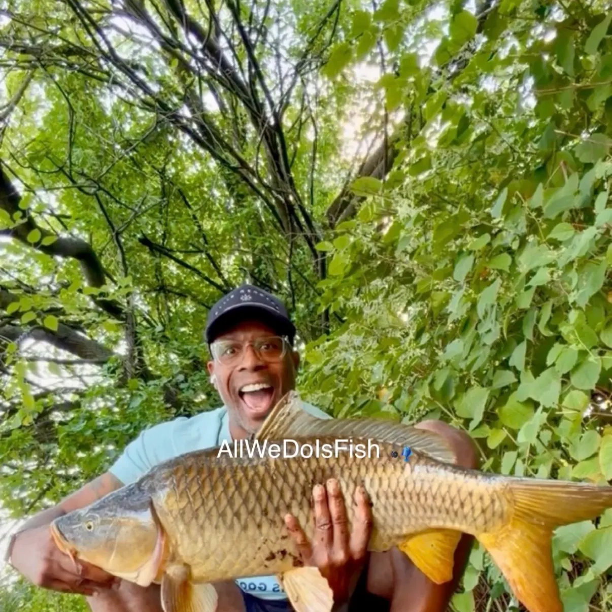 Common carp caught on Fishbrain