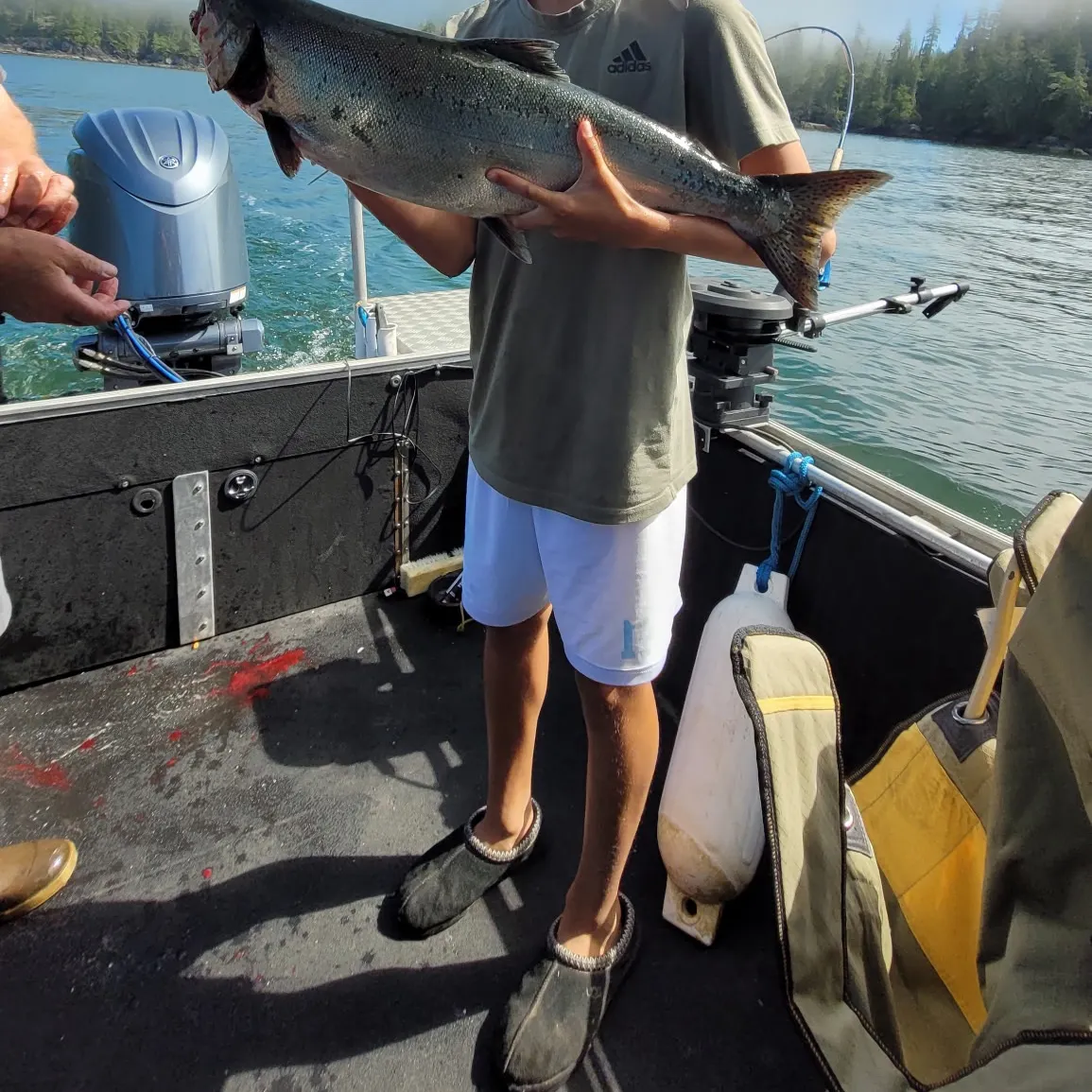 Chinook salmon caught on Fishbrain