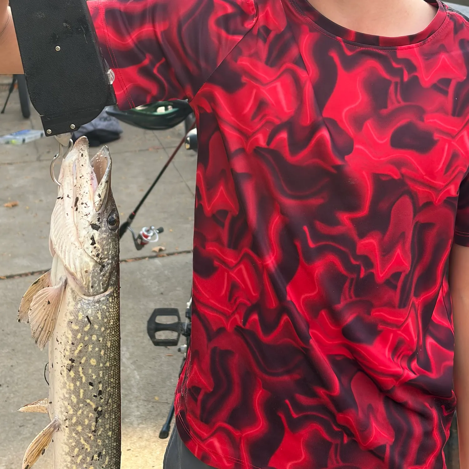 Northern pike caught on Fishbrain