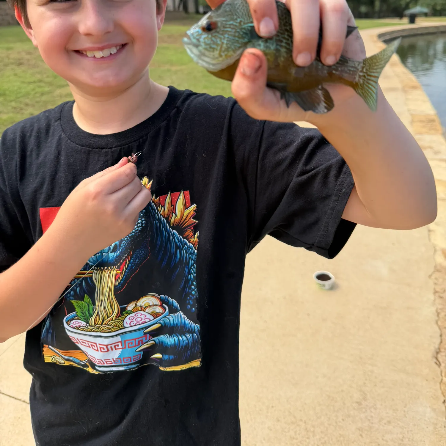 The most recent Plains longear sunfish catches on Fishbrain