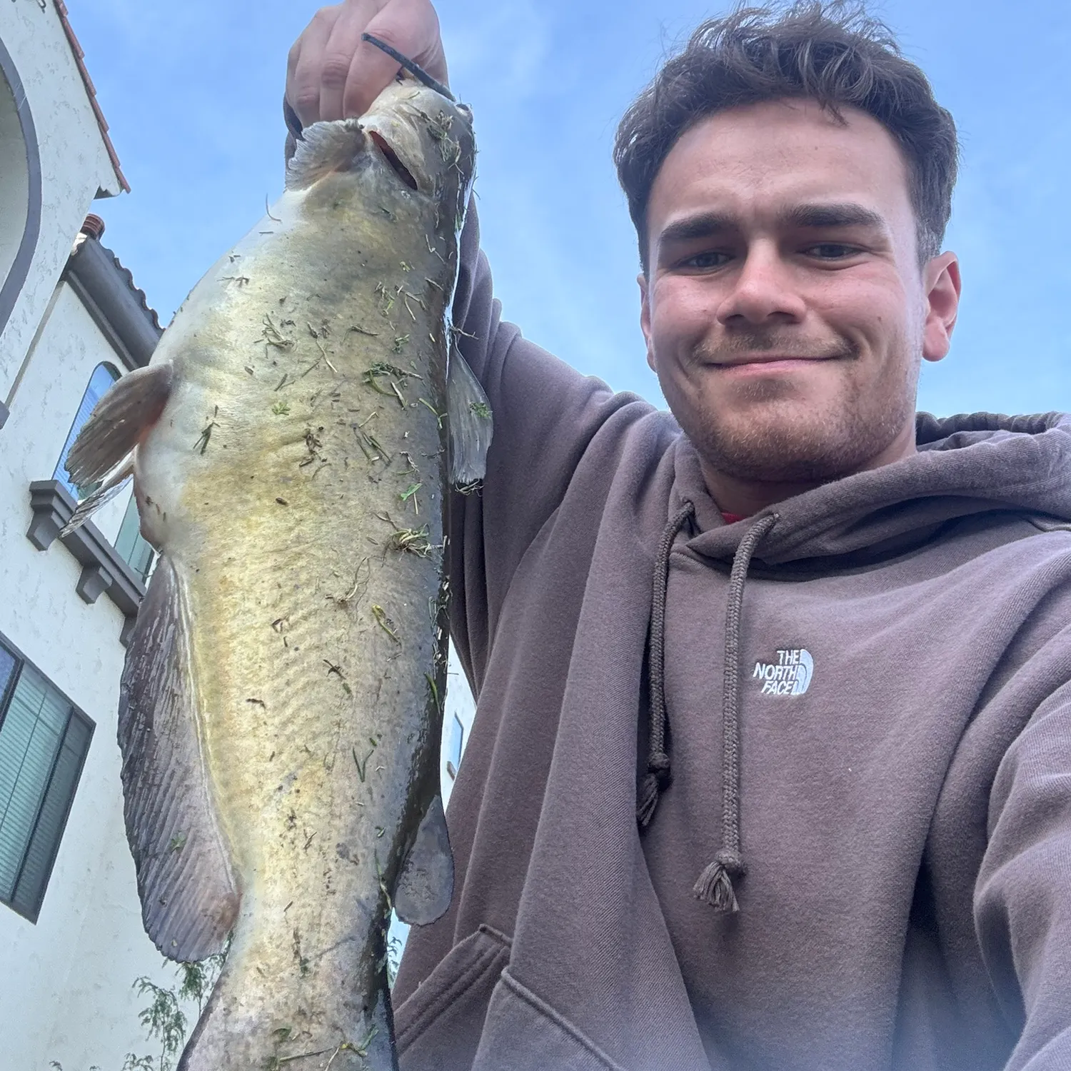 The most recent Channel catfish catches on Fishbrain