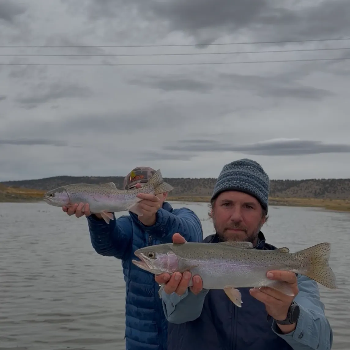 Rainbow trout caught on Fishbrain