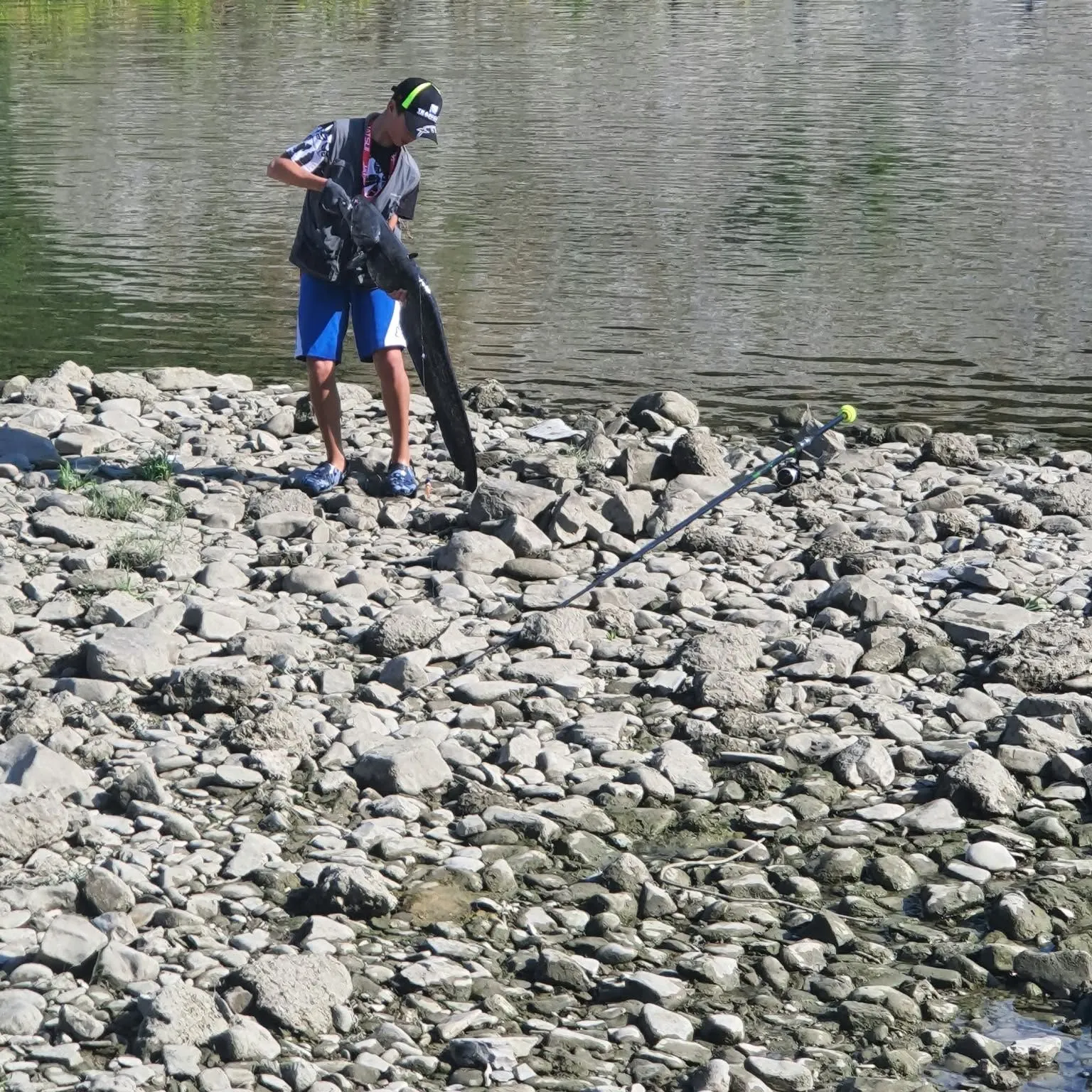 The most recent Wels catfish catches on Fishbrain