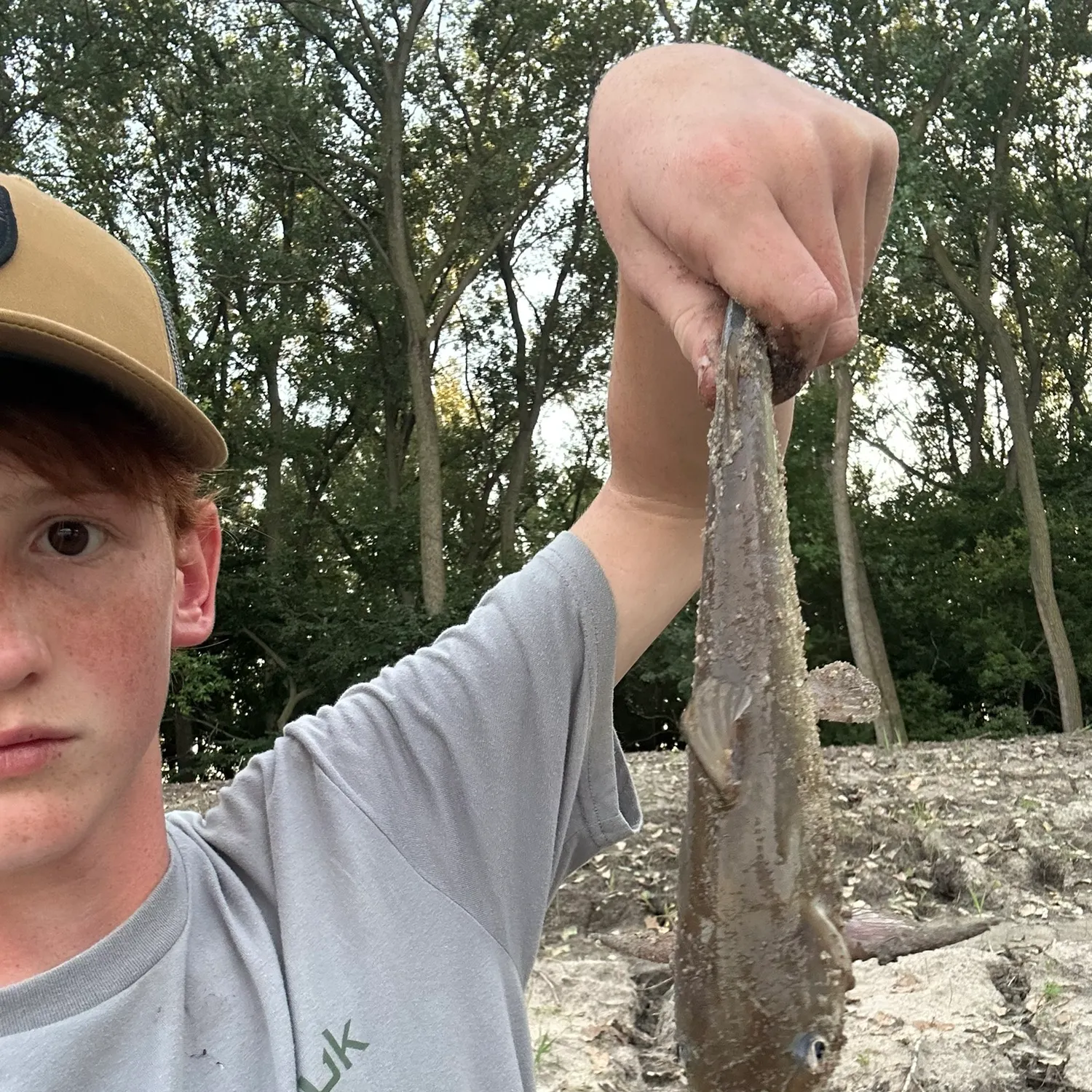 Channel catfish caught on Fishbrain