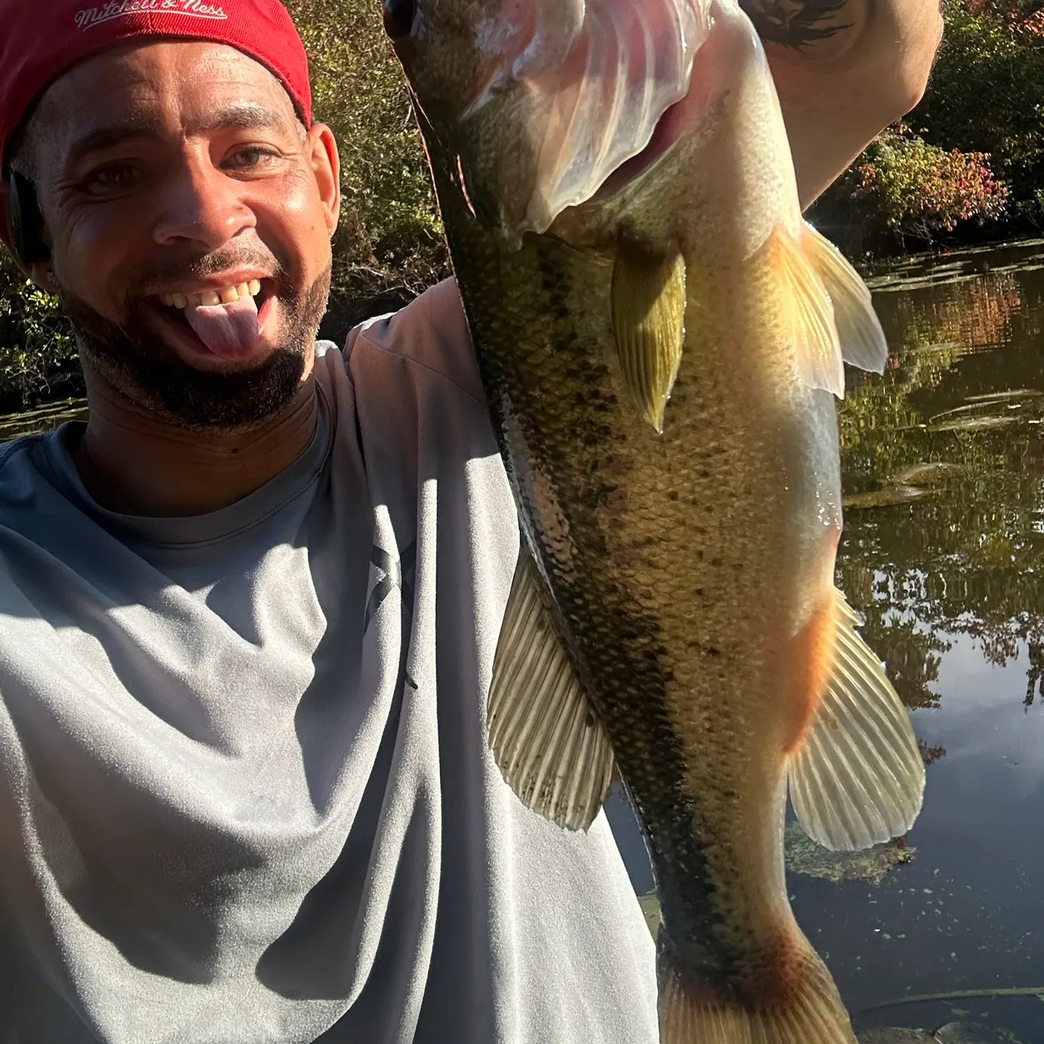 Largemouth bass caught on Fishbrain