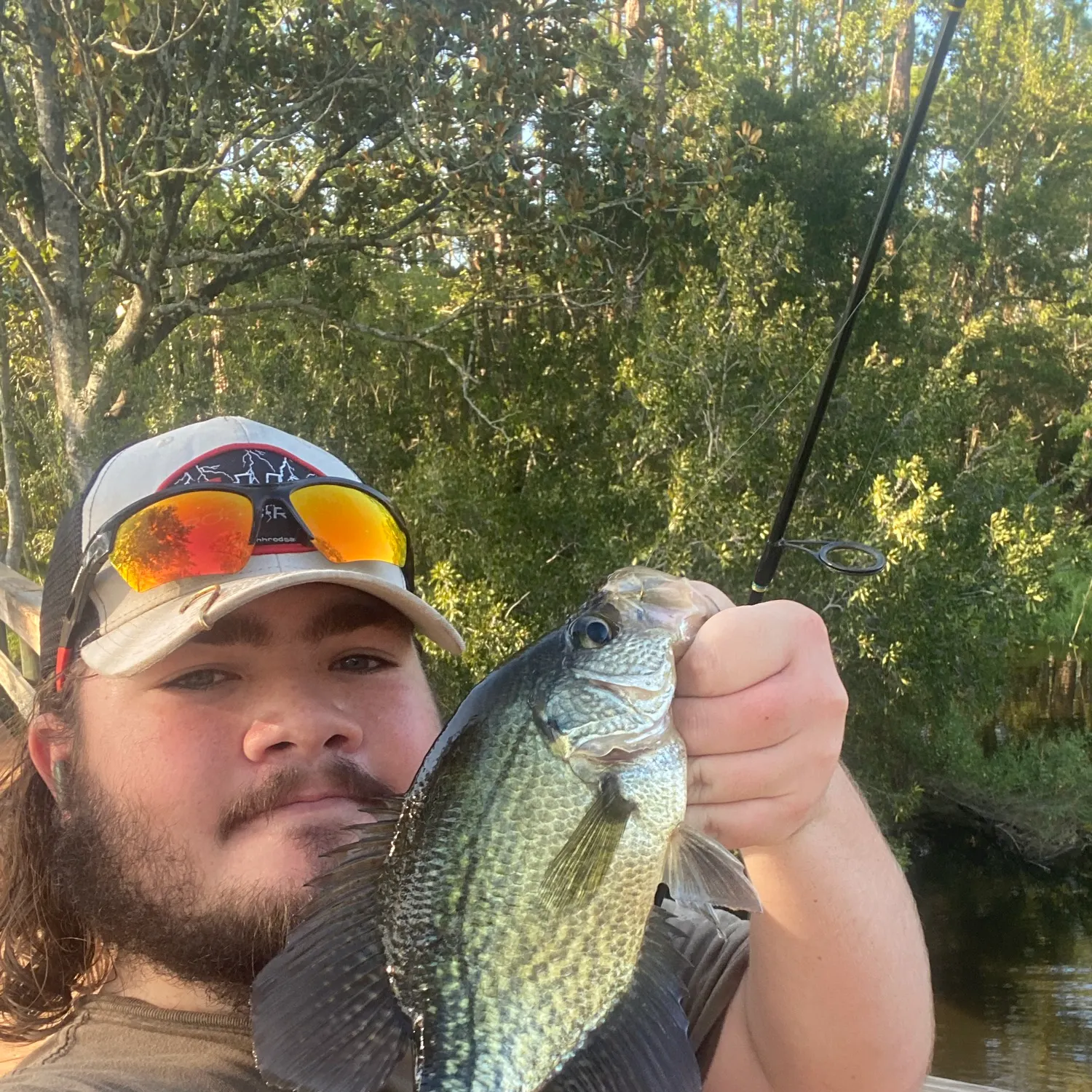 Black crappie caught on Fishbrain