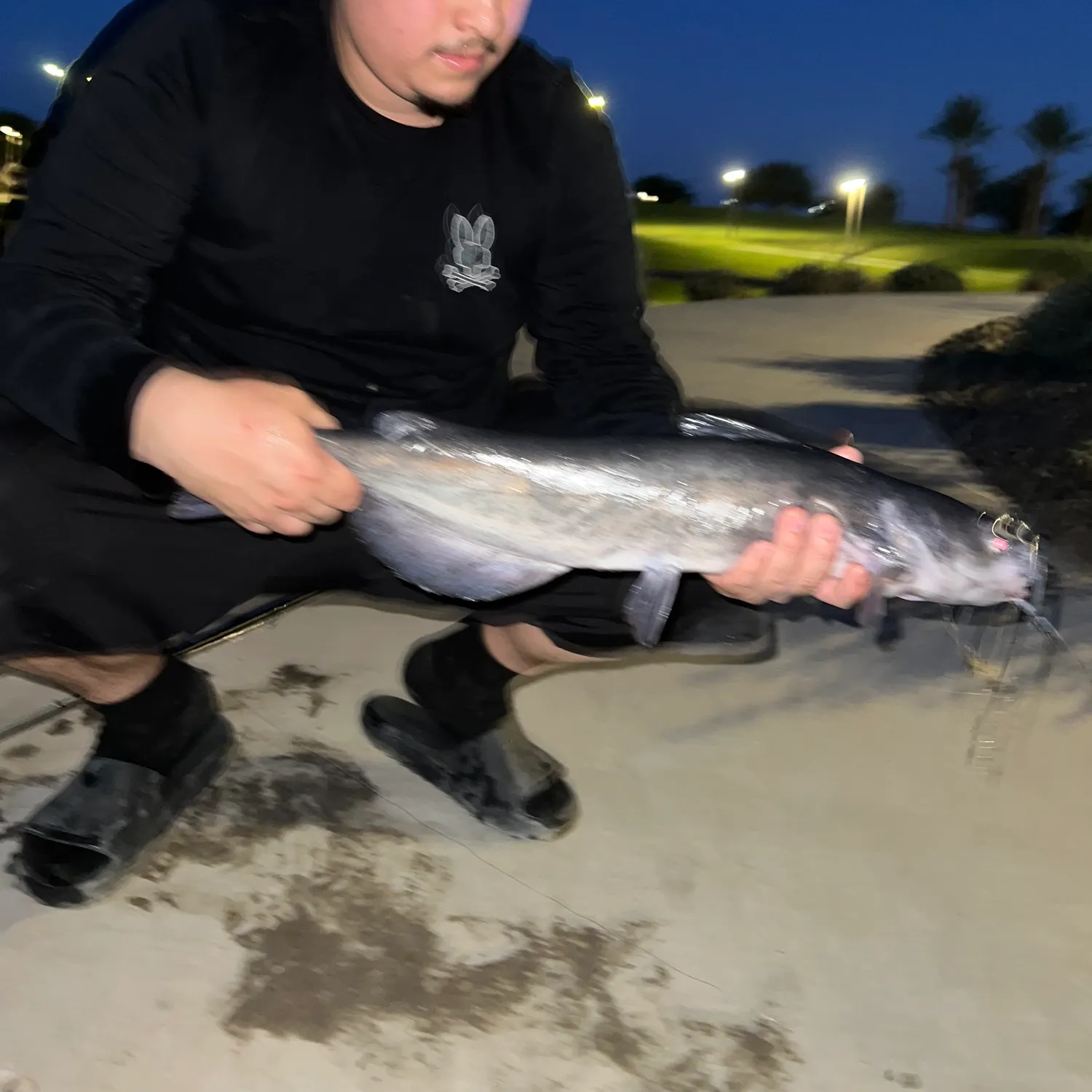 catch