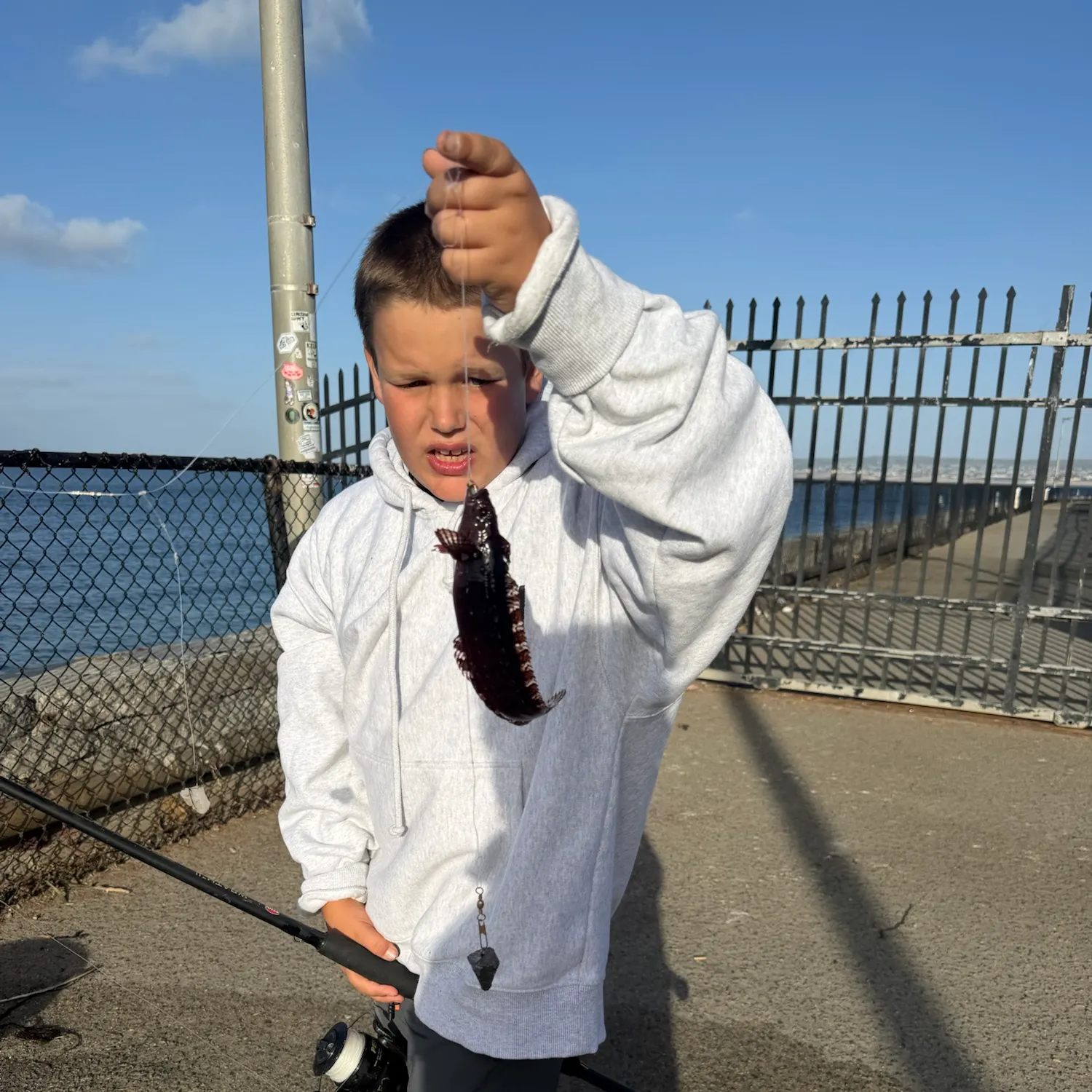 The most recent Monkeyface prickleback catches on Fishbrain