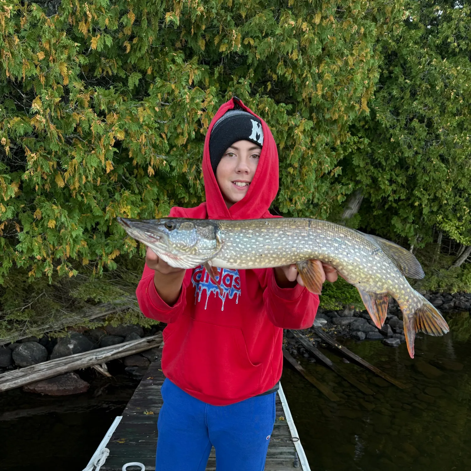 Northern pike caught on Fishbrain