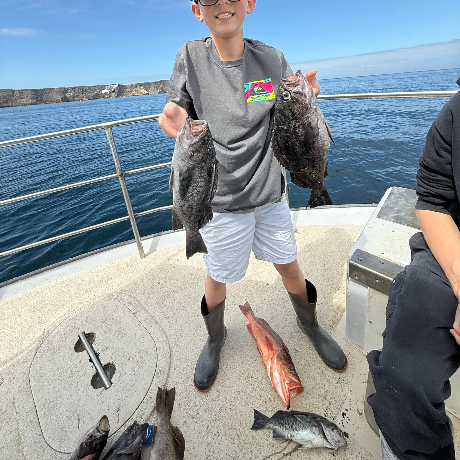 The most recent Blue rockfish catches on Fishbrain