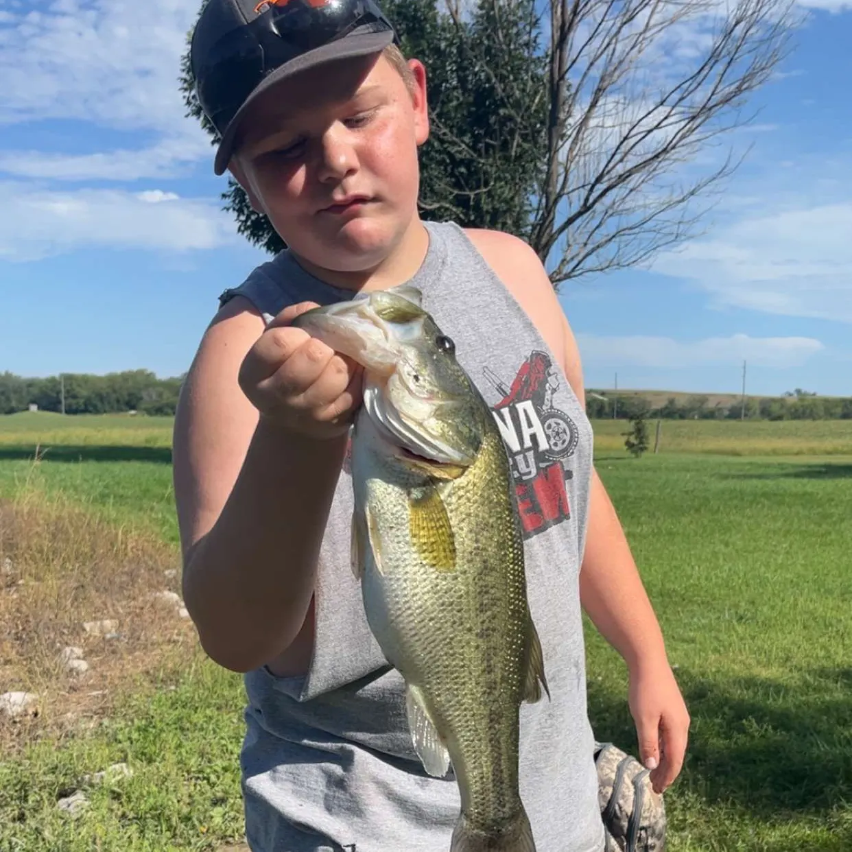 Largemouth bass caught on Fishbrain