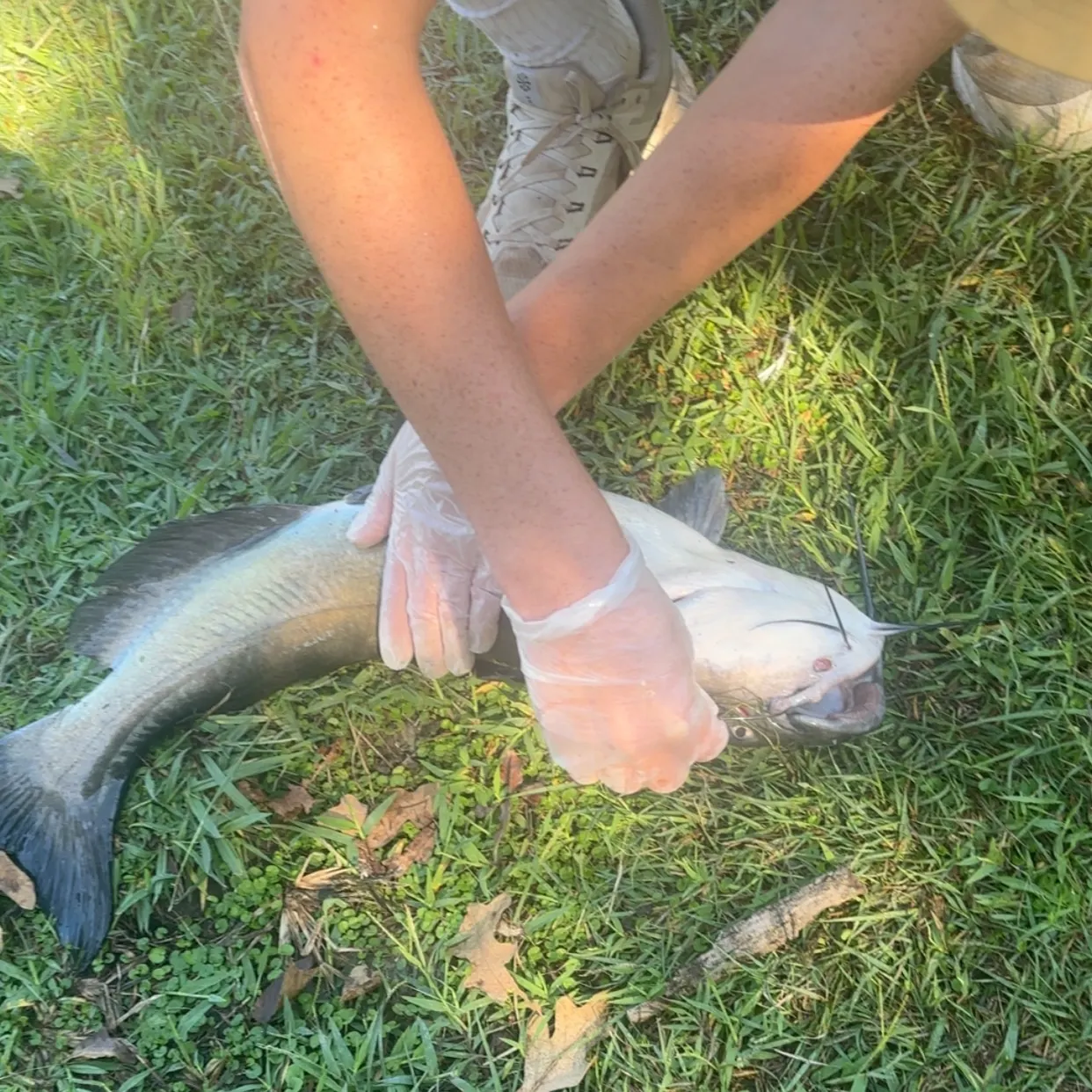 catch