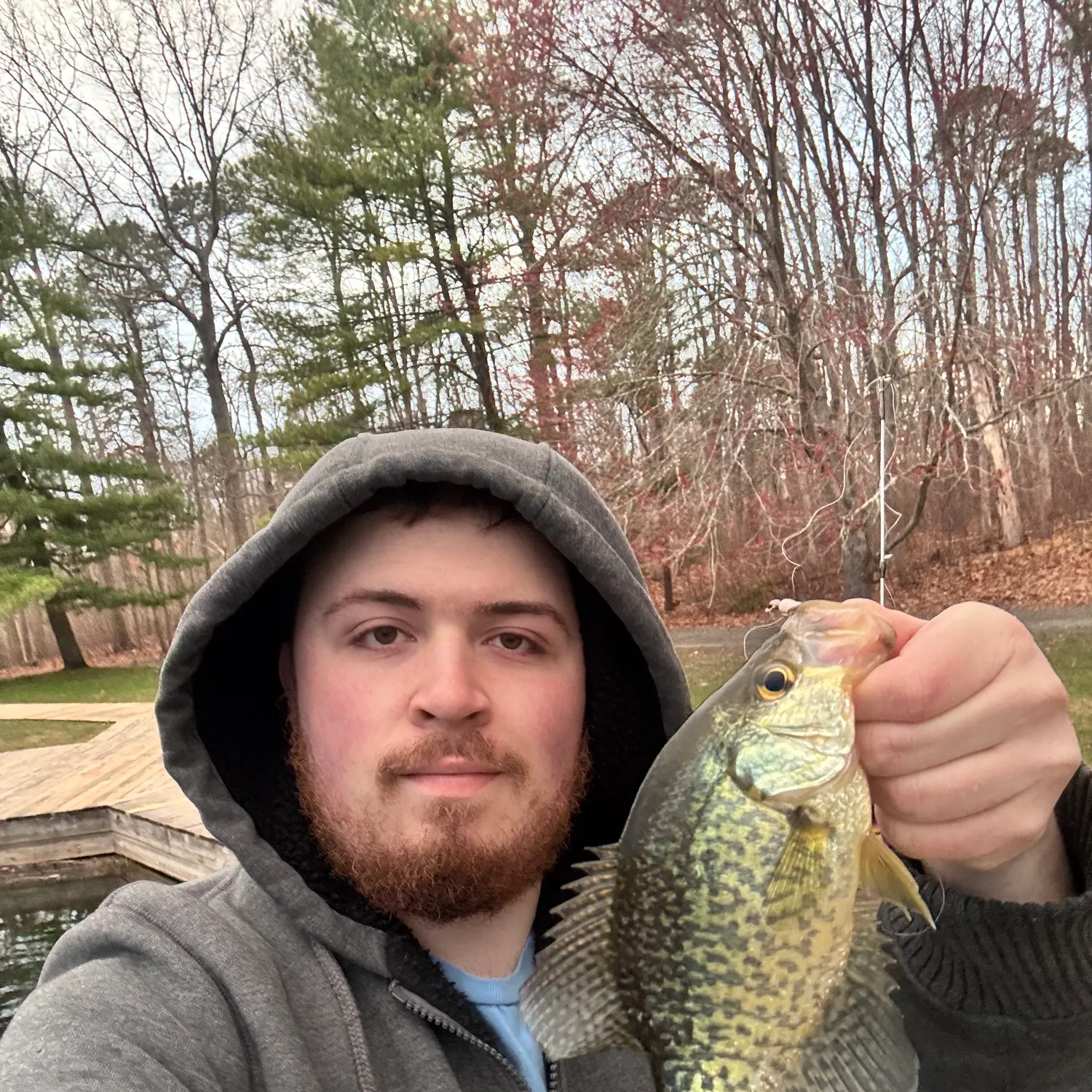 The most recent Black crappie catches on Fishbrain