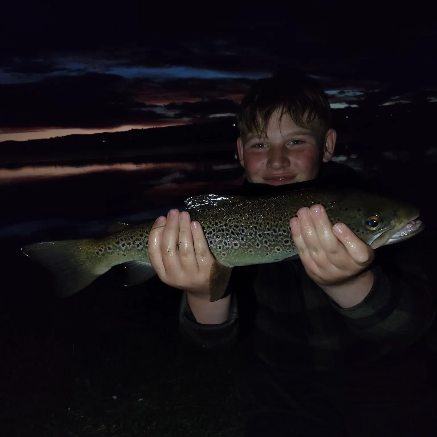 Brown trout caught on Fishbrain