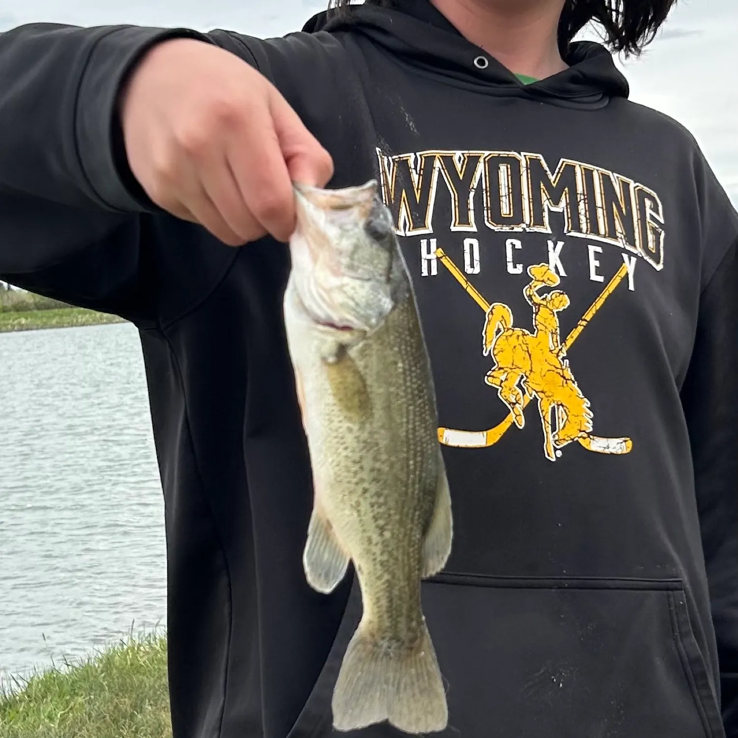 angler catch