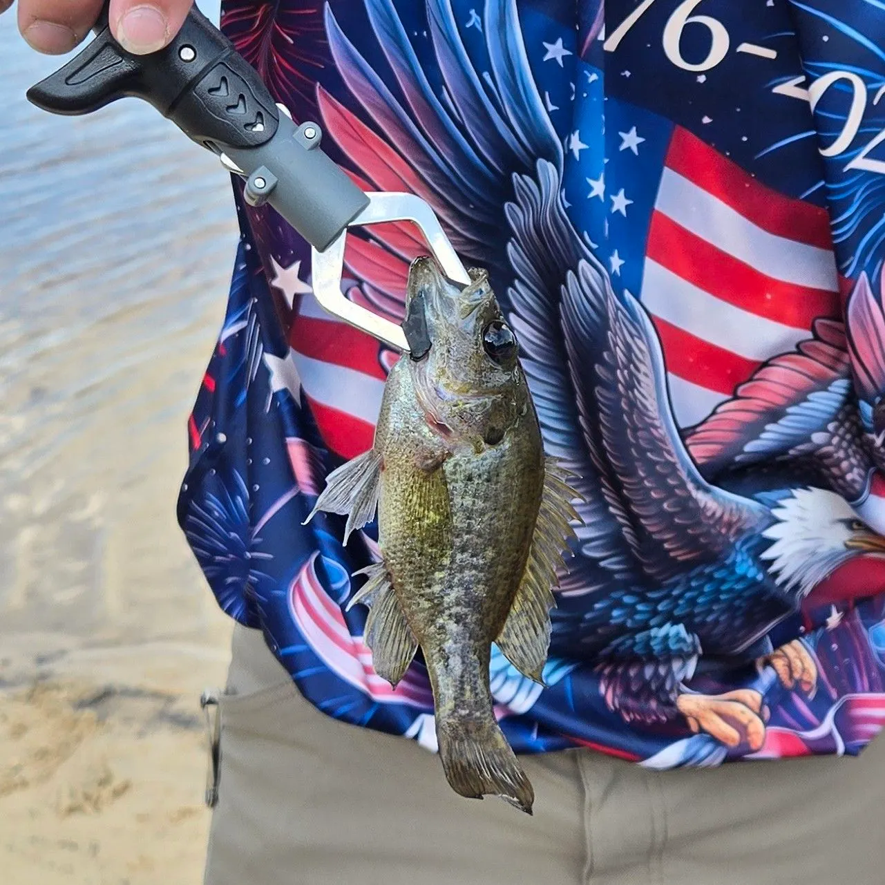 Rock bass caught on Fishbrain