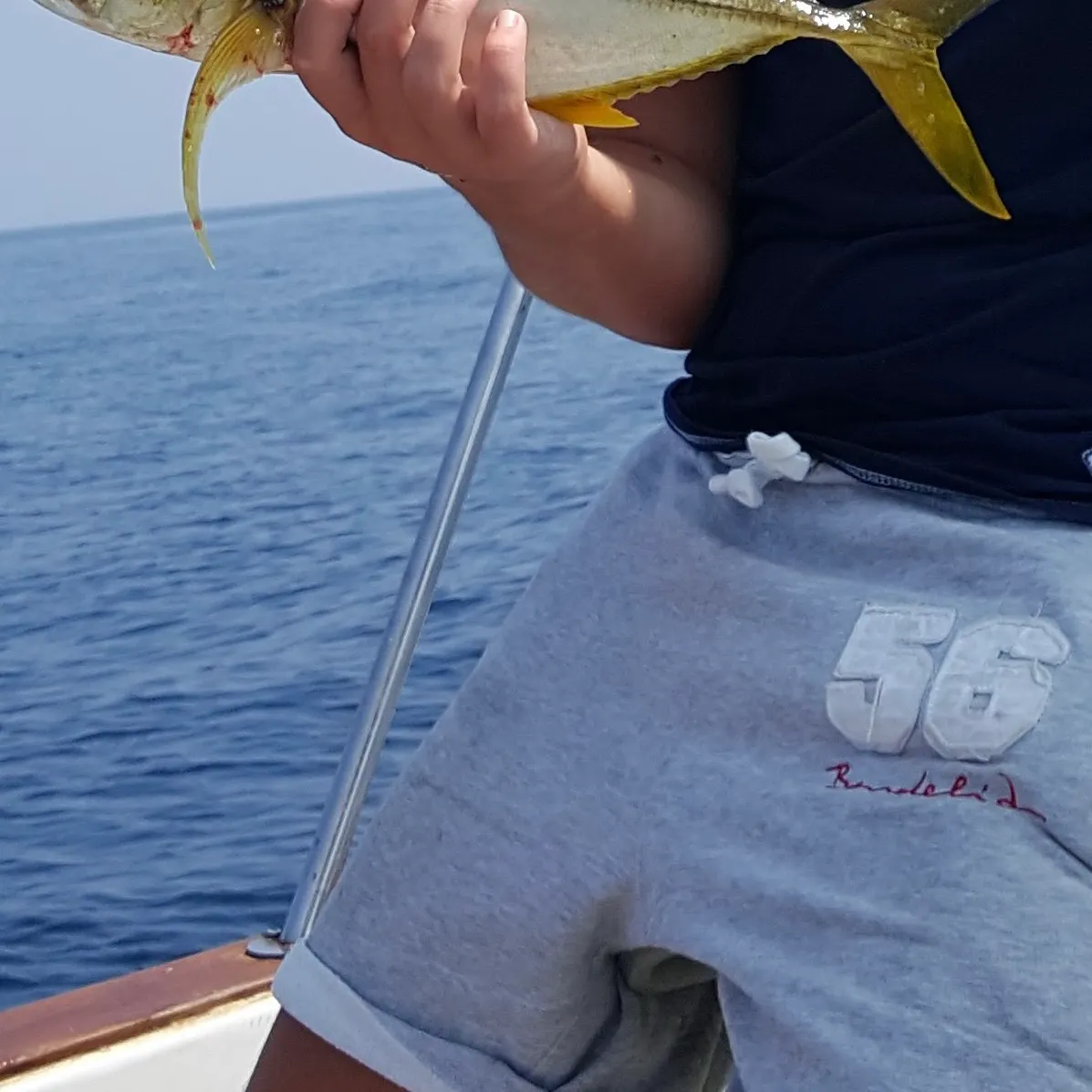 The most recent Blacktip trevally catches on Fishbrain