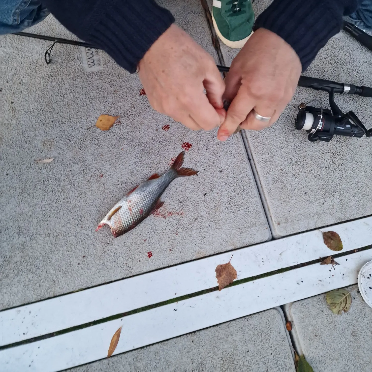 catch