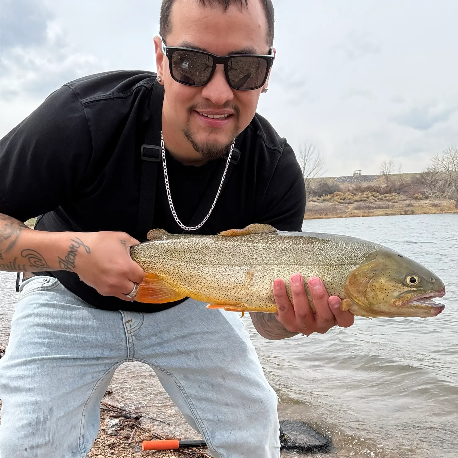 most liked catch image