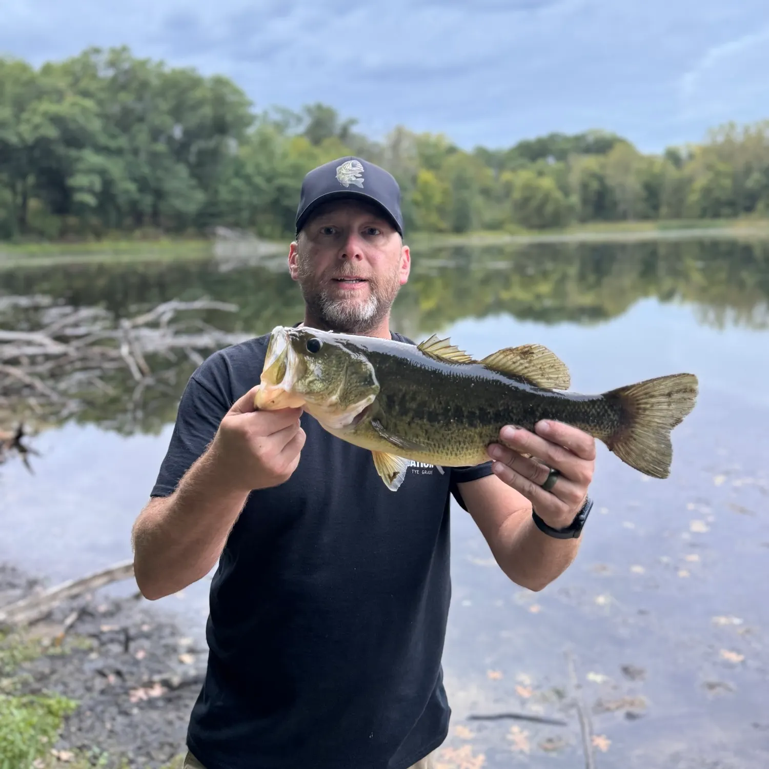 Largemouth bass caught on Fishbrain