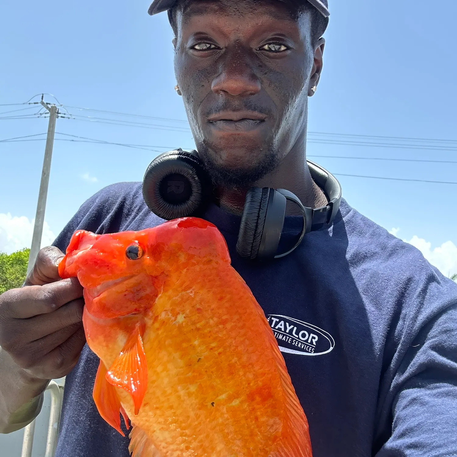 most liked catch image