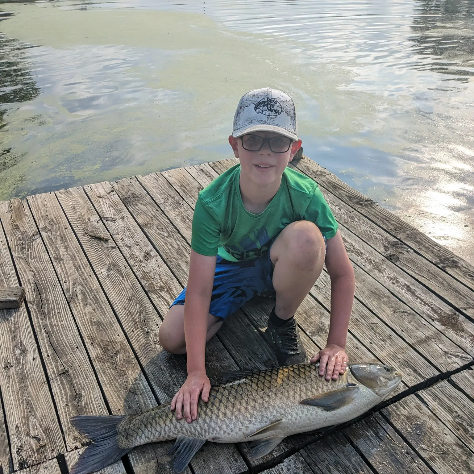 The most recent Grass carp catches on Fishbrain