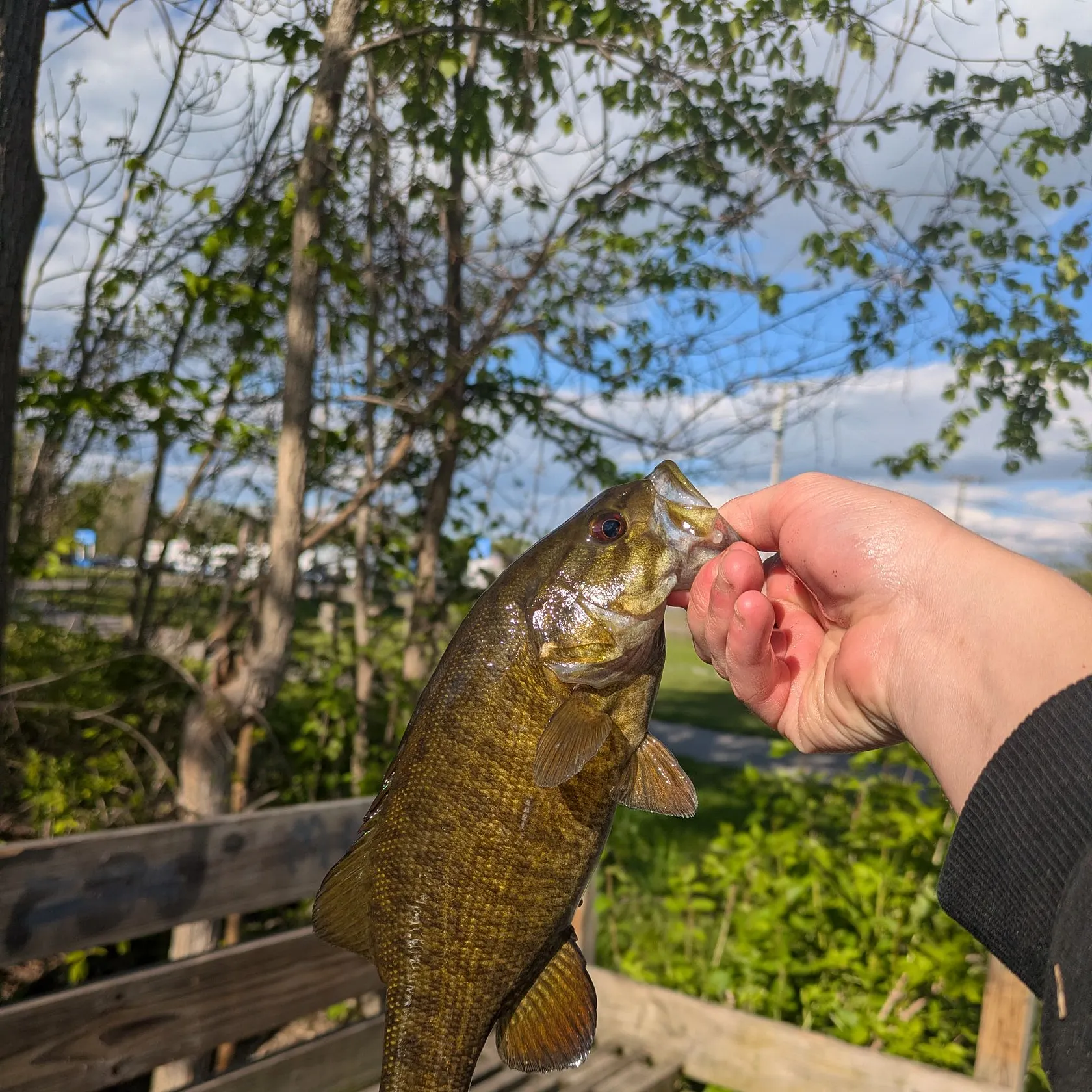 catch