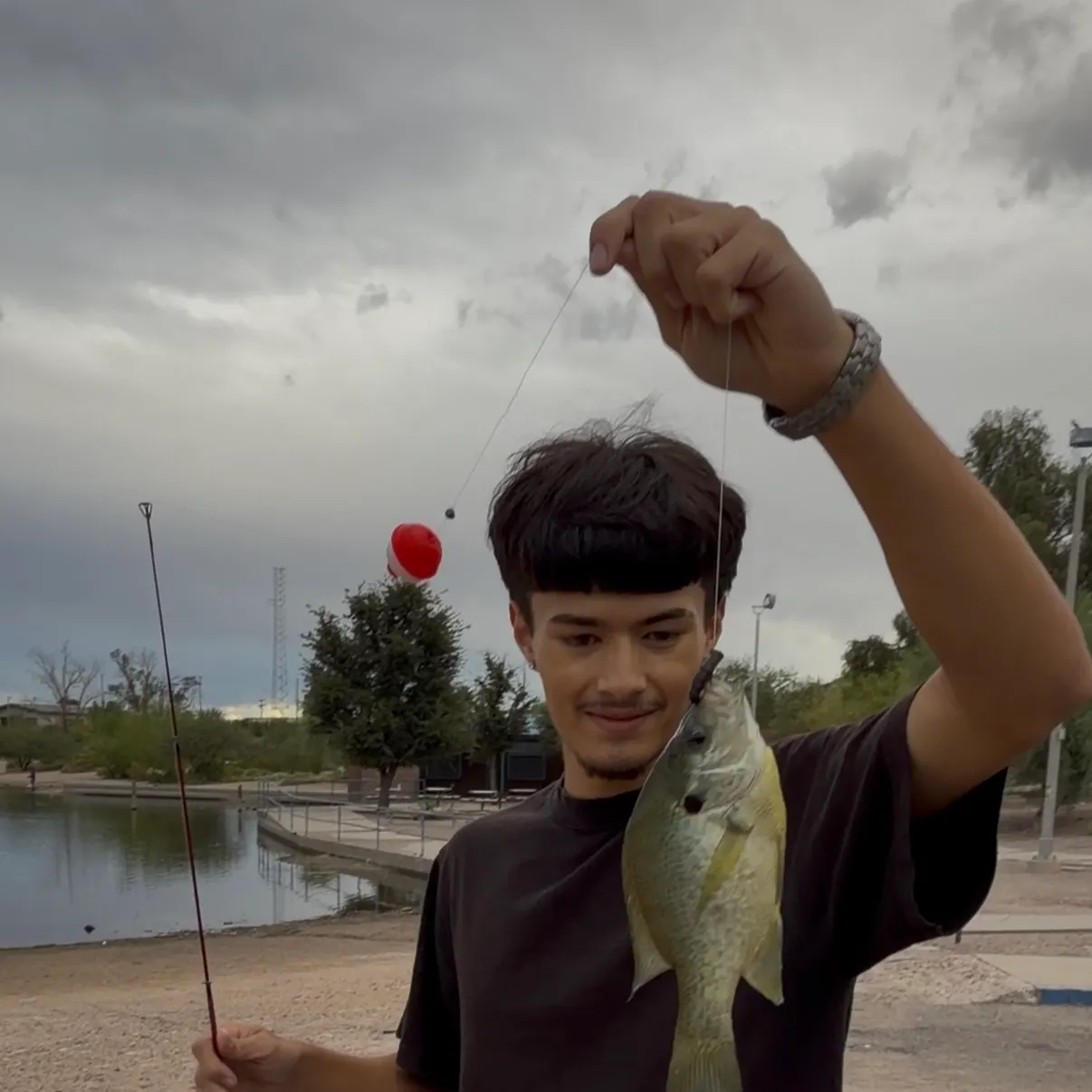 Bluegill caught on Fishbrain