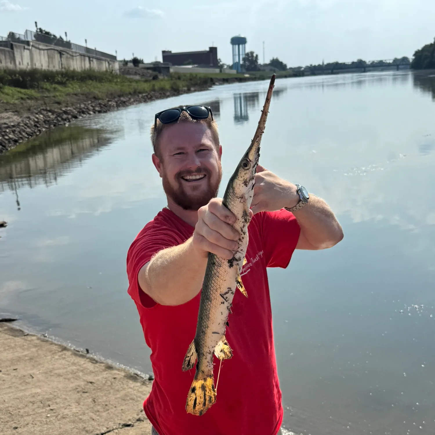 Shortnose gar caught on Fishbrain