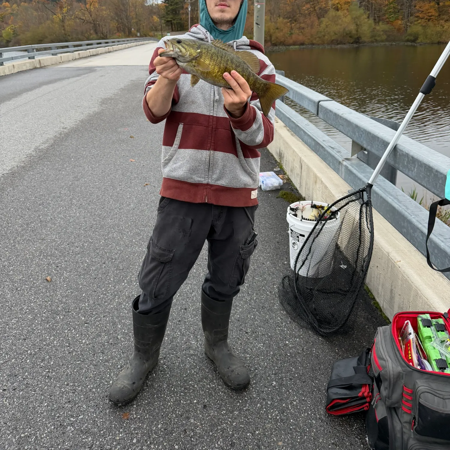 Smallmouth bass caught on Fishbrain