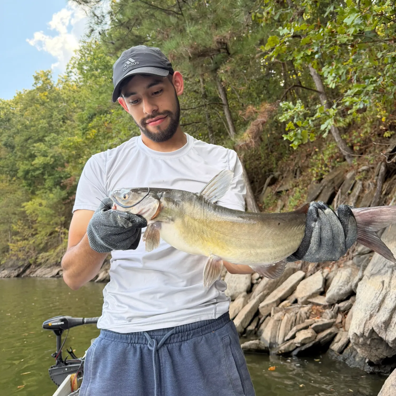 Channel catfish caught on Fishbrain